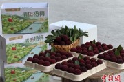 八字详批高速赋能产业升级：一条“杨梅路”的致富密码